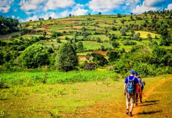 Trekking & CBT Tours